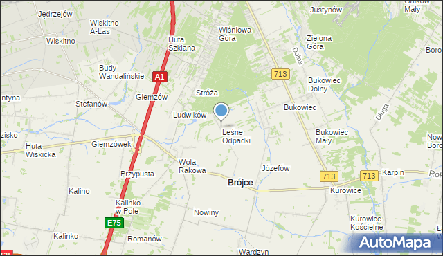 mapa Leśne Odpadki, Leśne Odpadki na mapie Targeo